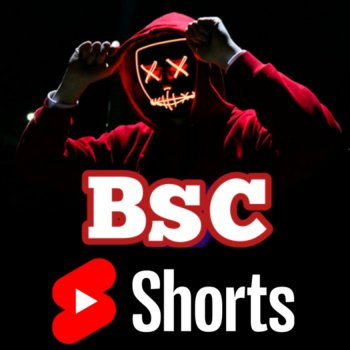 BSC Team Shorts
