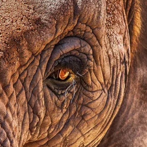 PostgreSQL Blogs