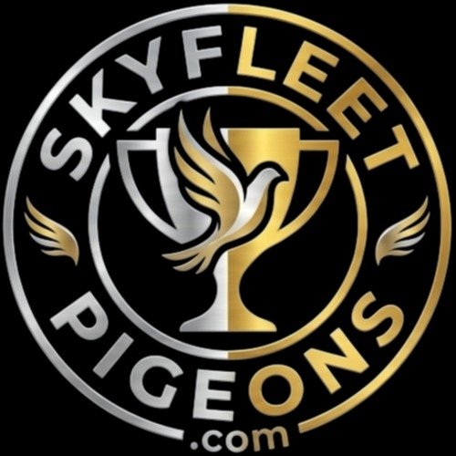 SkyFleetPigeons