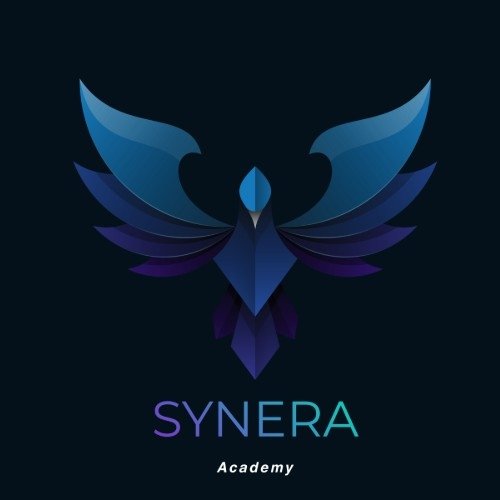 Synera Academy