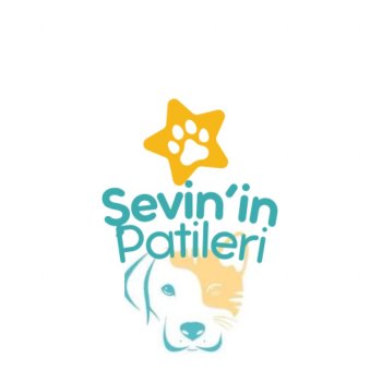 Şevin’in Patilerii