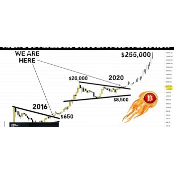 Kripto Kazanç Sistemi