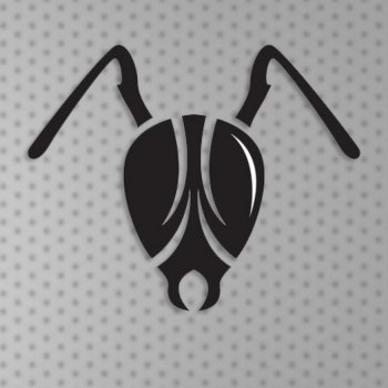 Karınca Hobisi-Rehber