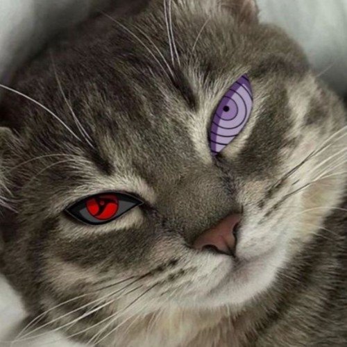 Darth Obito